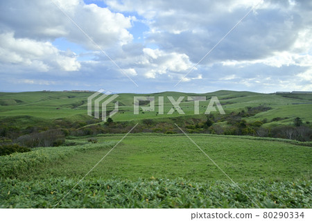 Pastures and black beef in the Soya Hills that were born during the ice age Pastures and black beef in the Soya Hills that were born during the ice age 80290334