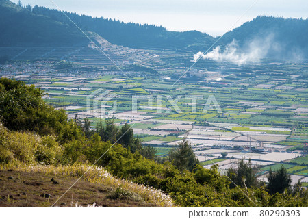 Beautiful garlic fields . View from Thoi Loi mountain at Ly Son Island, Quang Ngai Province, Vietnam Beautiful garlic fields . View from Thoi Loi mountain at Ly Son Island, Quang Ngai Province, Vietnam 80290393