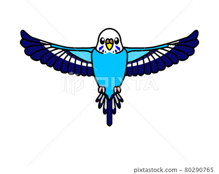 Flying budgerigar Oparin Flying budgerigar Oparin 80290765