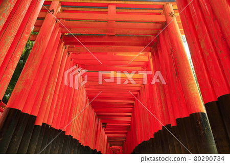 伏見稻荷大社的千本鳥居 80290784