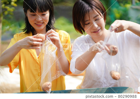 把土豆放在袋子裡的女人 80290988