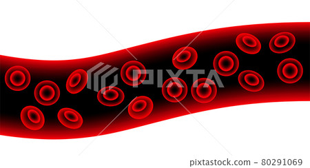 erythrocytes in blood vessel erythrocytes in blood vessel 80291069