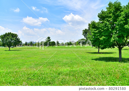 東京都中川公園 B 區多功能廣場（東京都足立區） [2021.7] 80291580