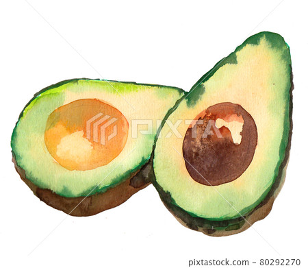 Tropical avocado fruit. Ink and watercolor drawing Tropical avocado fruit. Ink and watercolor drawing 80292270