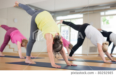Women are doing downward dog pose 80292985