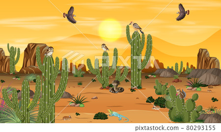 Desert forest landscape at sunset scene with desert animals and plants Desert forest landscape at sunset scene with desert animals and plants 80293155