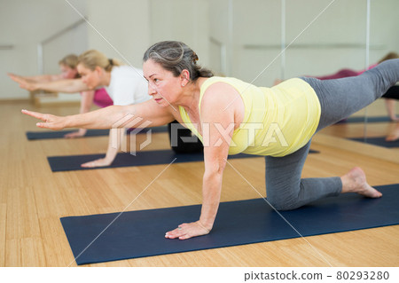 Women are doing extended cat pose 80293280