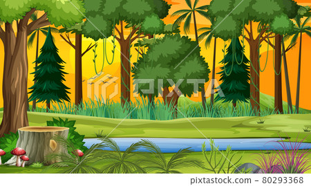 Forest landscape scene at sunset time with many...-插圖素材 [80293368 ...