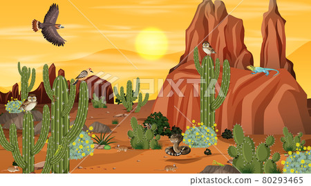 Desert forest landscape at sunset scene with desert animals and plants 80293465