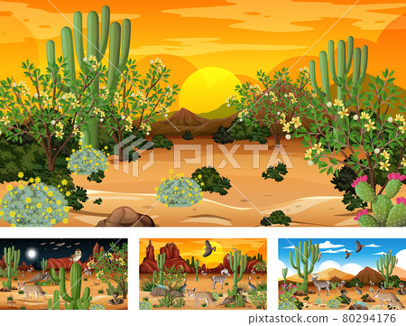Different scenes with desert forest landscape Different scenes with desert forest landscape 80294176