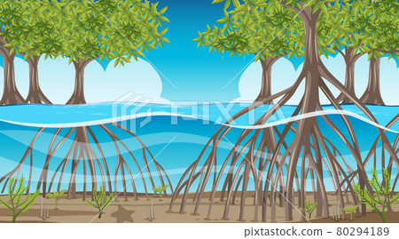 Nature scene with Mangrove forest at daytime in cartoon style 80294189