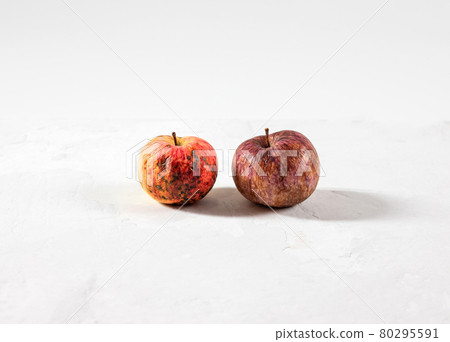 Trendy ugly food concept. Two rotten apples on a white background. The problem of food waste. Trendy ugly food concept. Two rotten apples on a white background. The problem of food waste. 80295591