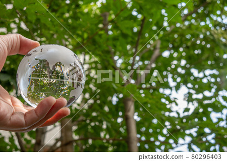 玻璃球和綠色 SDGs 環保形象 玻璃球和綠色 SDGs 環保形象 80296403