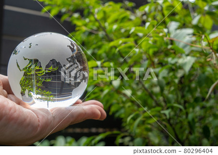 Glass globe and green SDGs environmental protection image Glass globe and green SDGs environmental protection image 80296404
