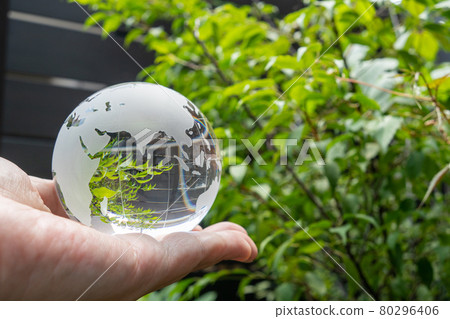 Glass globe and green SDGs environmental protection image Glass globe and green SDGs environmental protection image 80296406