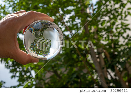 Glass globe and green SDGs environmental protection image Glass globe and green SDGs environmental protection image 80296411