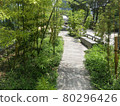 Fresh green road 80296426