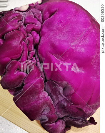 pareidolia, red cabbage like a brain pareidolia, red cabbage like a brain 80296530