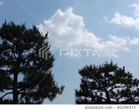 藍天和白色雲彩在雨季之間 藍天和白色雲彩在雨季之間 80296975