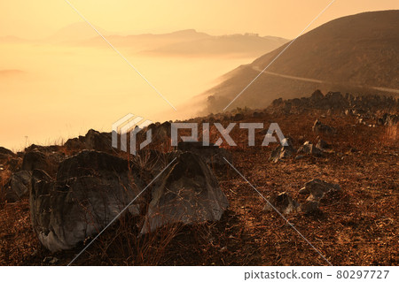 Karst plateau in the sea of clouds, Akiyoshidai Quasi-National Park, Mine City, Yamaguchi Prefecture 80297727