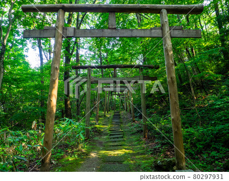 沿著山路排列的鳥居（新潟縣彌彥村由神社） 80297931