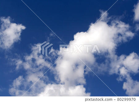 Still life stock photography Still life stock photography 80299970