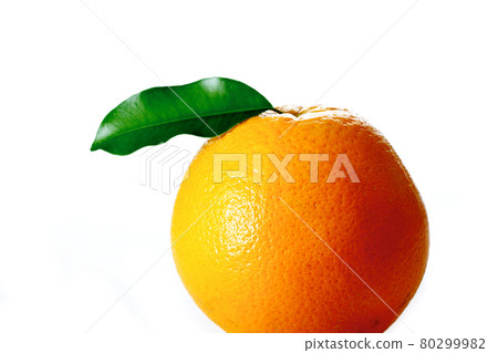 Still life stock photography 80299982