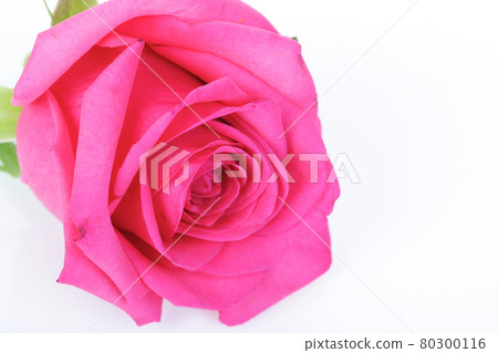 Still life stock photography Still life stock photography 80300116