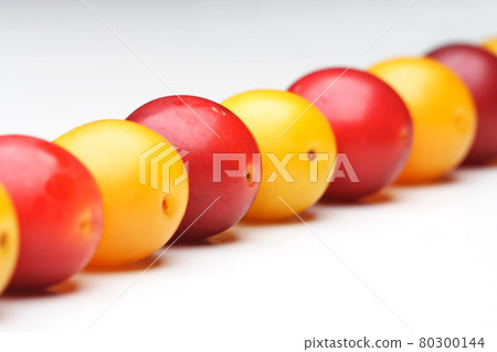 Still life stock photography 80300144