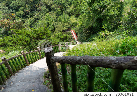 貓空 山 步道 木柵 台灣 臺灣 臺北 台北 貓空 山 步道 木柵 台灣 臺灣 臺北 台北 80301081