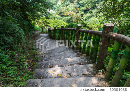 貓空 山 步道 木柵 台灣 臺灣 臺北 台北 80301088