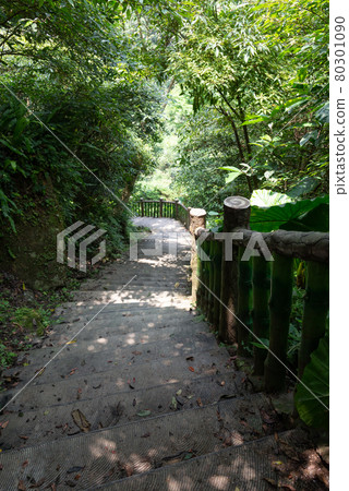 貓空 山 步道 木柵 台灣 臺灣 臺北 台北 80301090
