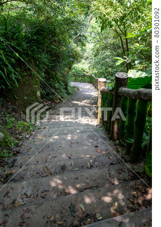 貓空 山 步道 木柵 台灣 臺灣 臺北 台北 80301092