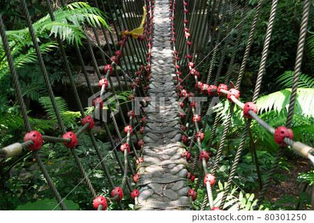 橋 吊橋 小橋 貓空 木柵 台灣 臺灣 臺北 台北 80301250