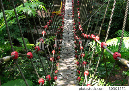 橋 吊橋 小橋 貓空 木柵 台灣 臺灣 臺北 台北 80301251