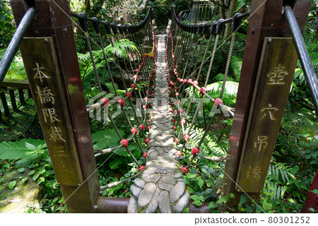 橋 吊橋 小橋 貓空 木柵 台灣 臺灣 臺北 台北 橋 吊橋 小橋 貓空 木柵 台灣 臺灣 臺北 台北 80301252