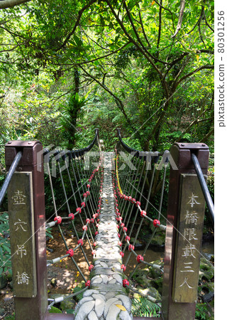 橋 吊橋 小橋 貓空 木柵 台灣 臺灣 臺北 台北 橋 吊橋 小橋 貓空 木柵 台灣 臺灣 臺北 台北 80301256