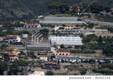 sanremo greenhouse view from the sea liguria italy sanremo greenhouse view from the sea liguria italy 80301316