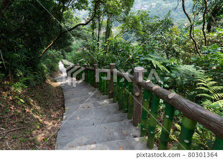 貓空 山 步道 木柵 台灣 臺灣 臺北 台北 80301364