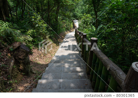 貓空 山 步道 木柵 台灣 臺灣 臺北 台北 80301365
