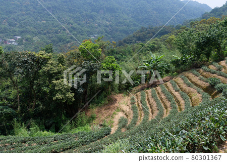 maokong mountain trail mucha taiwan taiwan taipei taipei 80301367