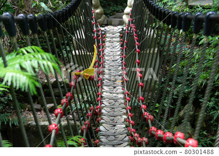 橋 吊橋 小橋 貓空 木柵 台灣 臺灣 臺北 台北 80301488