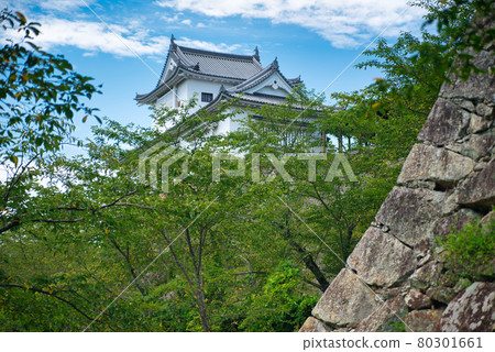 【日本百強城】從岡山縣津山市豆腐二之丸遠眺津山城備中塔 【日本百強城】從岡山縣津山市豆腐二之丸遠眺津山城備中塔 80301661