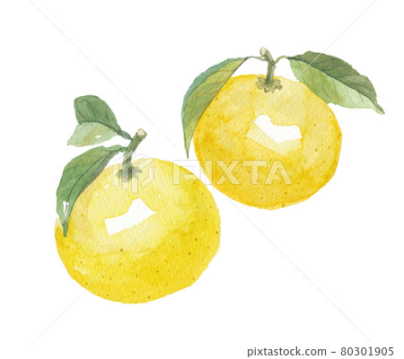 Tosa Konatsu 2 pieces 80301905