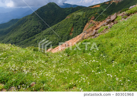 Summer inkyogura Summer inkyogura 80301968