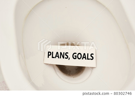 Plans and goals in toilet 80302746