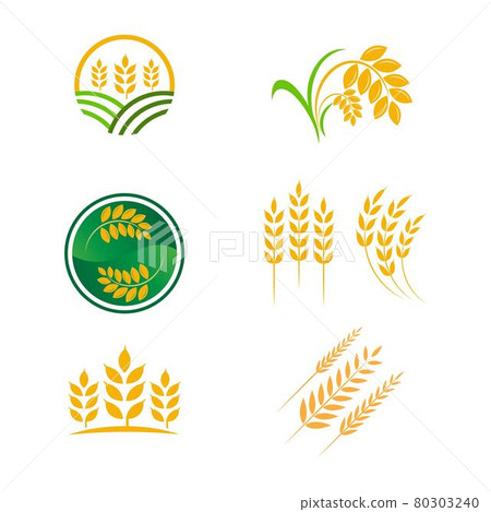 Agriculture wheat rice vector icon design Agriculture wheat rice vector icon design 80303240