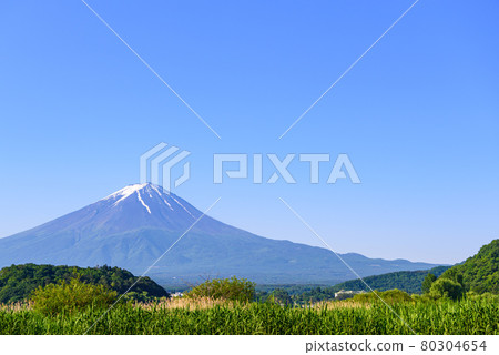 Clear sky and Mt. Fuji / fresh green Clear sky and Mt. Fuji / fresh green 80304654