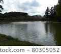 Pond of Ageo Maruyama Park 80305052