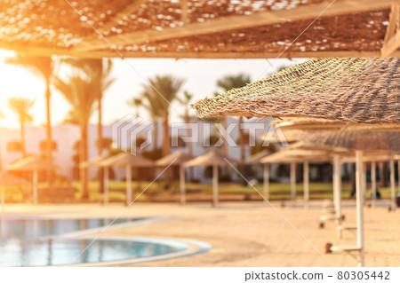 View at straw umbrellas against the swimming pool in Egypt View at straw umbrellas against the swimming pool in Egypt 80305442